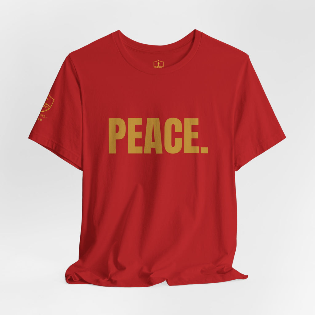 MASTER THE STORM™ | PEACE. Premium Lifestyle Tee